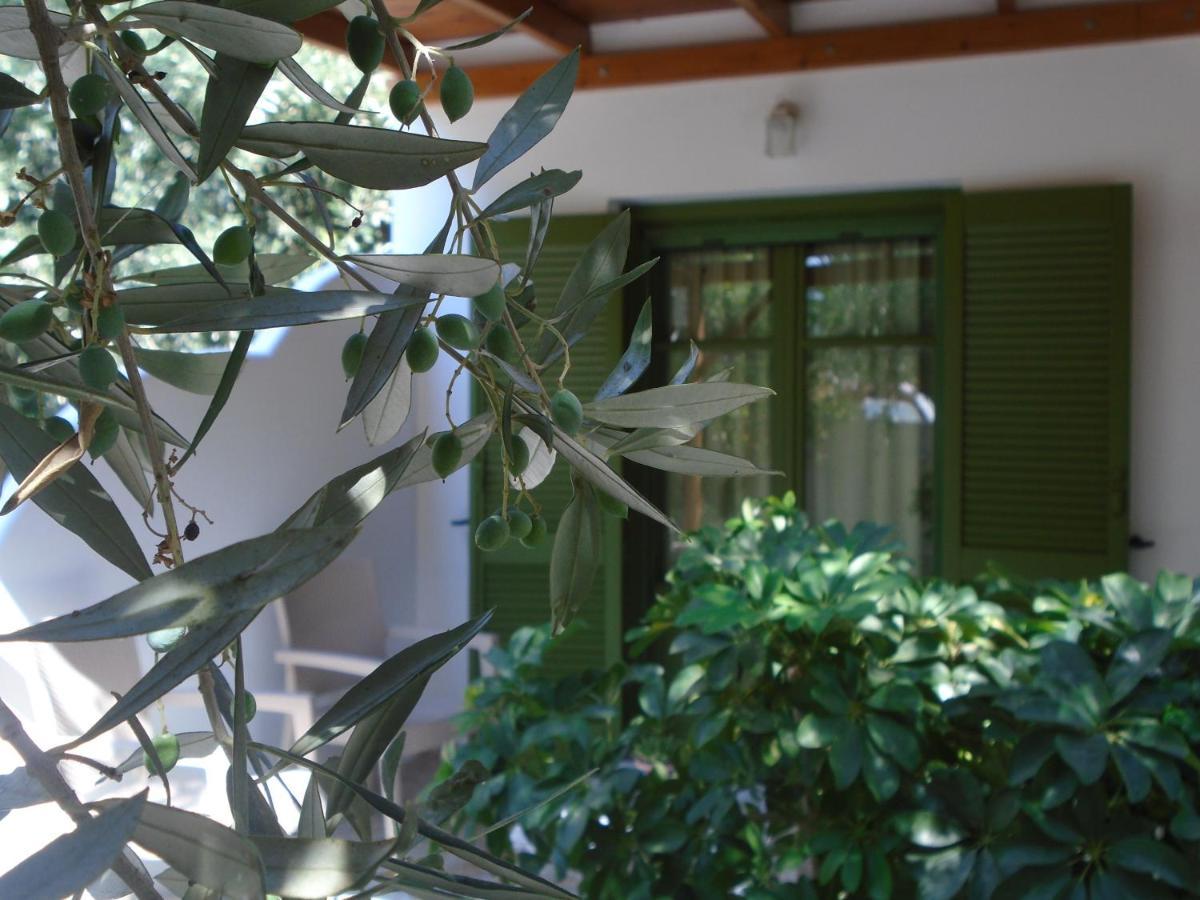 Leros Eleonas Apartments Alinda  Zewnętrze zdjęcie
