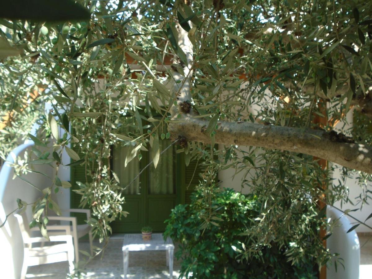 Leros Eleonas Apartments Alinda  Zewnętrze zdjęcie