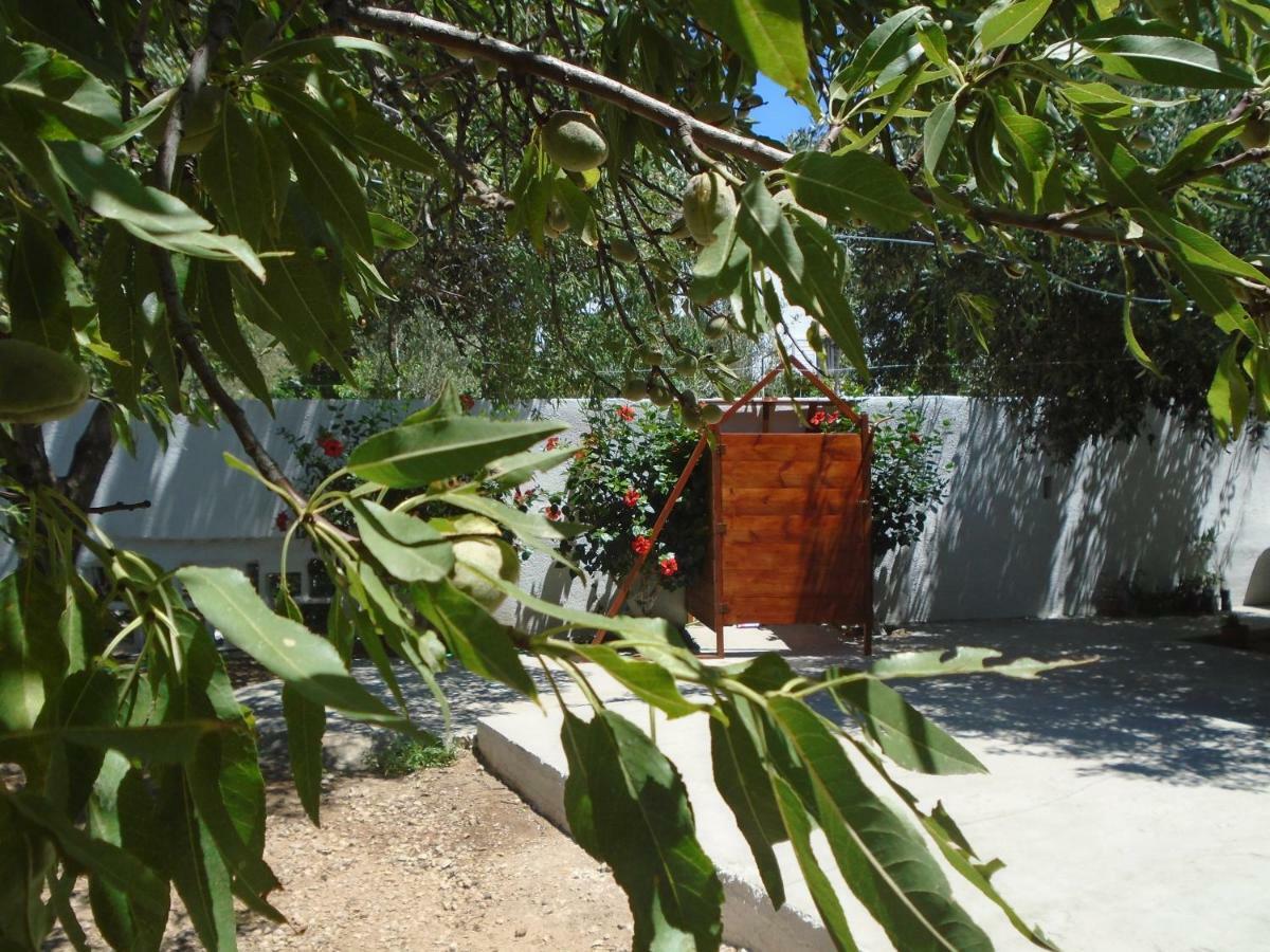 Leros Eleonas Apartments Alinda  Zewnętrze zdjęcie
