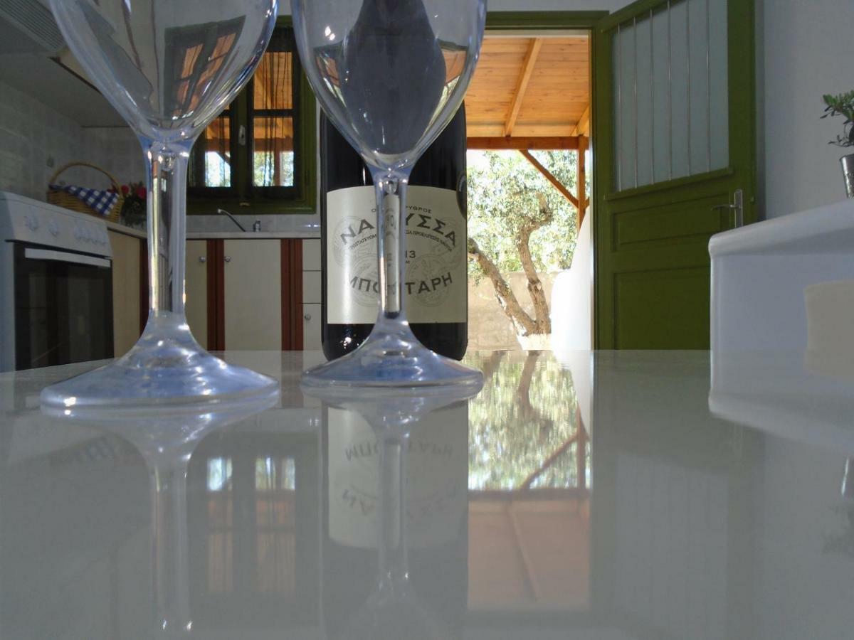 Leros Eleonas Apartments Alinda  Zewnętrze zdjęcie