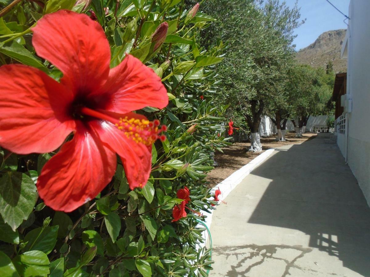 Leros Eleonas Apartments Alinda  Zewnętrze zdjęcie